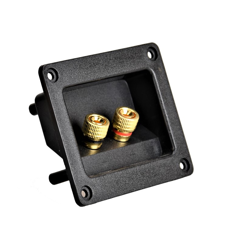 HIFIDIY LIVE hoparlör bağlantı - Home Cinema Accessories incelemesi ve fiyatı